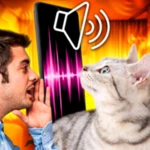 Logo of Cat Translator - translate cat android Application 